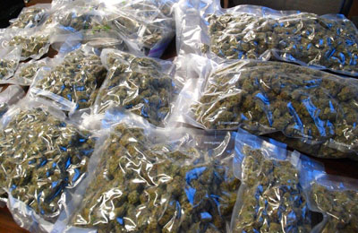 On May 10, 2014, the Candia Police executed a search warrant at a residence on Old Manchester Road. Several pounds of marijuana and several thousands of dollars in cash were seized.