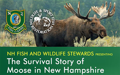 Lecture Series - The Survival Story of Moose in New Hampshire