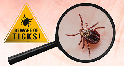 Lecture Series - Tick Borne Diseases and strategies to avoid exposure with Marc Notorangelo, MS