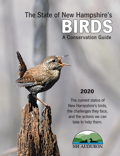 Lecture Series - Bird Talk
